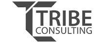 Tribe Consulting